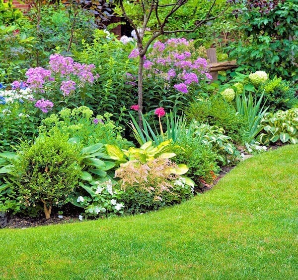 Spring Gardening Calendar for Waterloo Region: What to Plant and When
