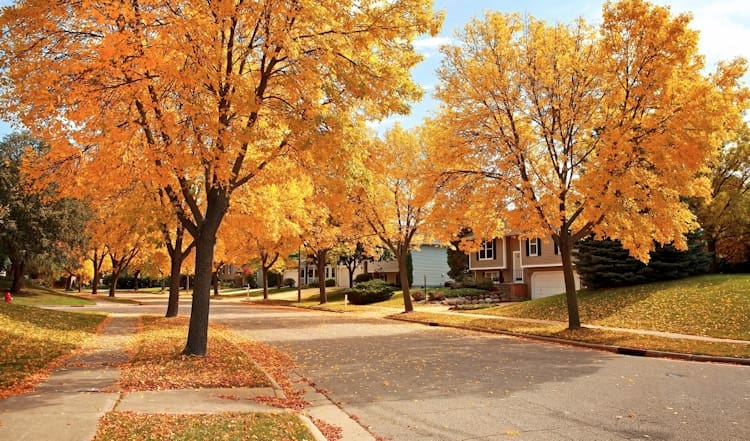 September 2024 Real Estate Market Update