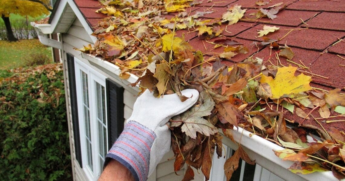 Fall Maintenance Tips